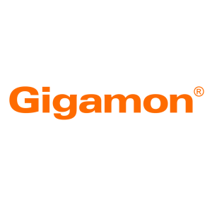 Gigamon