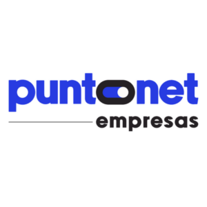 Puntonet